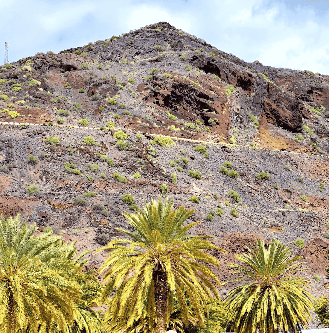 Canarias con alma; arte consciente