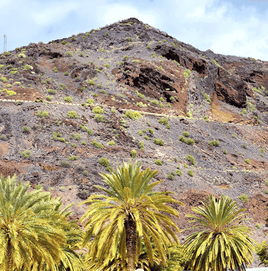 Canarias con alma; arte consciente